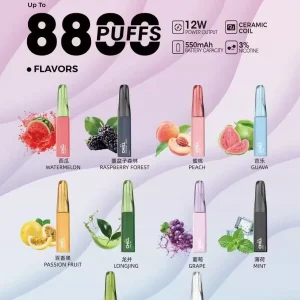 CHILL鴨嘴獸8800 puffs 拋棄式正品一次性電子煙台灣現貨